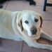 Thomas Radke - Facebook