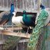 Thomas Radke - Facebook