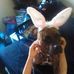 Thomas Radle - Facebook
