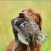 Thomas Rahe - Facebook