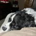James Thomas Rak - Facebook