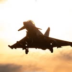 Thomas Ramsden - @thomasramsden0209 - Instagram