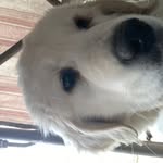 Thomas Randles - @randles.thomas - Instagram