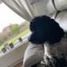 Tom Randles - Facebook