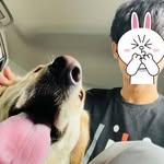 @__thomas__ranglong__ - Instagram