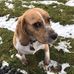 Thomas Rang - Facebook
