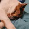 Thomas Rang - @thomas.rang - TikTok