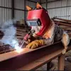 Thomas Rangot - @thomas.rangot - TikTok