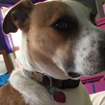 Ranger Riley Thomas - @ranger_thomas - Instagram