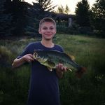 Brydon Thomas Ransom - @ransom_fishing - Instagram