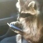 Thomas Ransom - @ransom7669 - Instagram