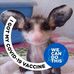 Tom Rawlinson - Facebook