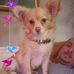Thomas Rawson - Facebook