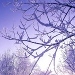 Thomas Razo - @thomas.razo - Instagram