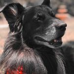Thomas - @thomas.razor - Instagram