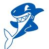 Thomas Reck - @whitesharkco2 - TikTok