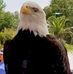 Thomas Redden - Facebook