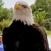 Thomas Redden - @thomas.redden8 - TikTok