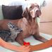 Thomas Redlinger - Facebook