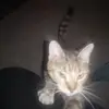 thomasredpath48 - @thomasredpath48 - TikTok