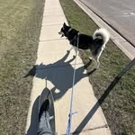 Thomas Reed - @__thomas.reed__ - Instagram