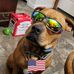 Thomas Reetz - Facebook
