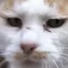thomas reider - @thomasreider2 - TikTok