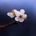 Thomas Rengan - Facebook