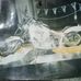 Thomas Ressler - Facebook