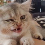 Retzmann Thomas - @retzmannthomas - Instagram