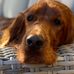 Thomas Retzlaff - Facebook