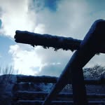 Thomas Revell - @thomas.revell - Instagram