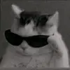 Thomas Rey - @thomasreyr - TikTok