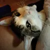 Thomas-Rey - @familybreakfast - TikTok