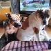 Thomas Richey - Facebook