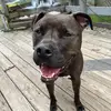 thomas - @thomas.richey - TikTok