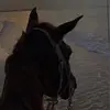 Thomas Ricker - @thomasricker9228 - TikTok