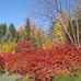 Thomas E Ricks Gardens - Facebook