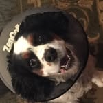 Thomas Ricks - @ricks1033 - Instagram