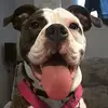 thomasriddell487 - @thomasriddell487 - TikTok