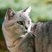Thomas Reidinger - Facebook