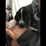 Thomas Riendeau - @riendeau.thomas - Instagram