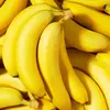 Thomas Ringler - @thomas.ringler - TikTok