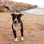Thomas Rglt - @thomas.rigoulot - Instagram