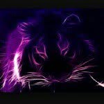 Thomas Rigoulot - @thomasrigoulot - Instagram