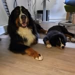 Thomas Rinke - @thomas_rinke_lev - Instagram