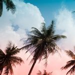 Thomas Rippe - @thom.rippe - Instagram