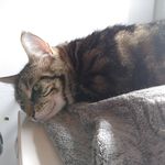 Thomas Rivard - @t_cat5467 - Instagram