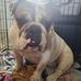 Thomas Rivard - Facebook