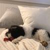 Thomas Rivard - @thomas.tmj - TikTok